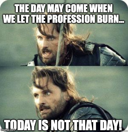 aragorn in battle meme, today is not the day to let the profession burn